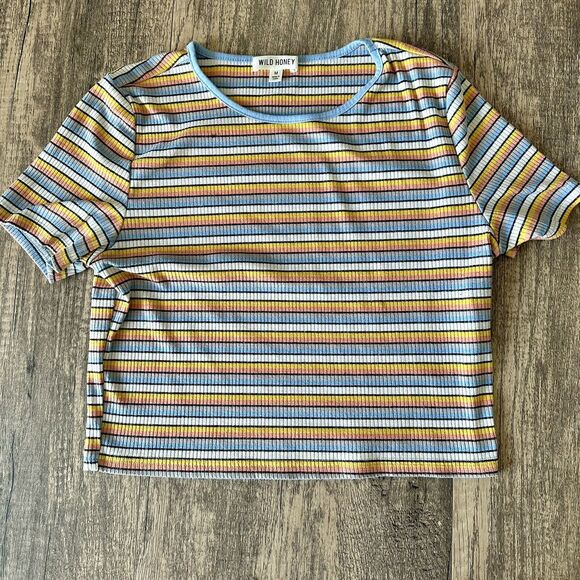 Wild Honey Tops - Vintage 80's 90’s Striped Crop Top Short Sleeve Retro, Medium Multicolored